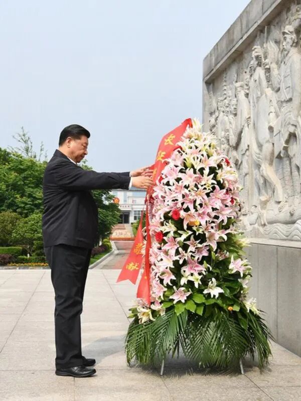 智能健康监测：时刻关注爱宠的每一个小动作 - 开云2